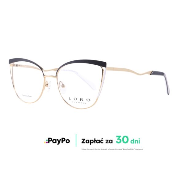 LoroAidaL1V.01 LoroAidaL1V.01