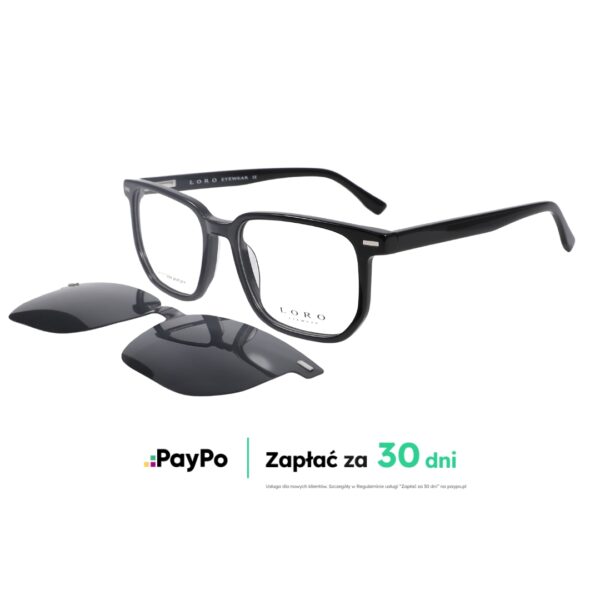 Loro Balos L1 okulary męskie